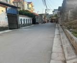 Đất Thường Tín, Đầu tư đất ô tô đỗ Lô góc trục chính cực đẹp tại Đào Xá Thắng Lợi