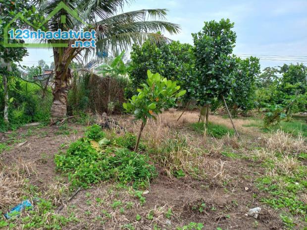 Chính chủ bán đất thổ cư xã Phước Hậu, huyện Long Hồ, tỉnh Vĩnh Long. - 4
