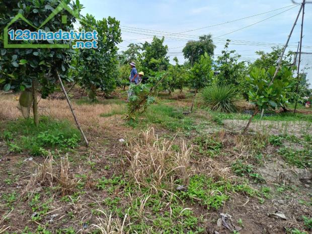 Chính chủ bán đất thổ cư xã Phước Hậu, huyện Long Hồ, tỉnh Vĩnh Long. - 5