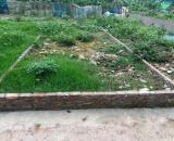 BÁN LÔ ĐẤT ĐẸP TRUNG TÂM THỊ TRẤN KIM BÀI, KIM LÂM, VĂN QUÁN, ĐÔ ĐỘNG 54M2 GIÁ 3,1 TỶ