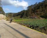 Đất Liên Kế Gần Cao Tốc Liên Khương – Prenn, Hiệp An, Đức Trọng – View Rừng Thông