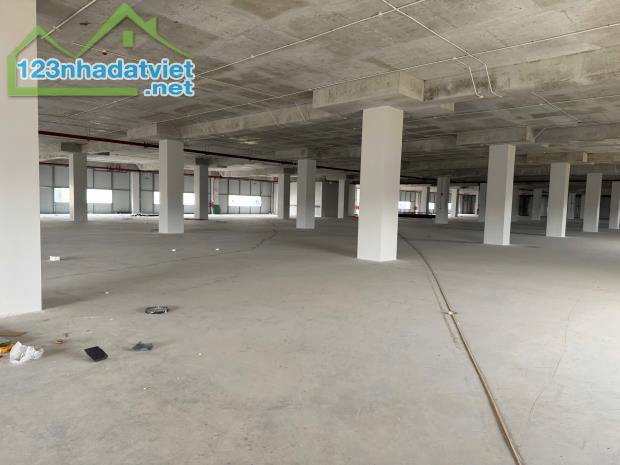 CHO THUÊ NHÀ XƯỞNG 2 TẦNG KCN THUẬN THÀNH 3, BẮC NINH | TIÊU CHUẨN FDI - 2