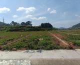 4 Lô Đất Liên Kế QL20 Hiệp Thạnh, Đức Trọng – Sổ Hồng Riêng, View Rừng Thông Đẹp