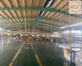 Cho thuê nhà xưởng KCN Tân Đông Hiệp A, Dĩ An, Bình Dương 10.762 m²