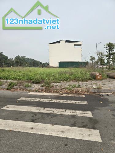 Bán đất đấu giá 81M²chỉ 4.95tỷ LIÊN HÀ-vân hà-THƯ LÂM- ĐÔNG ANH. - 4