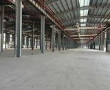 CHO THUÊ NHÀ XƯỞNG 30.000m² TẠI KIM THÀNH HẢI DƯƠNG