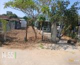 Bán căn nhà vườn Diên Lâm mặt đường nội thôn - tặng vườn cây trái đủ loại