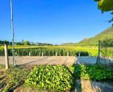 Cần ra đi lô đất 128m2 ngang 6,4m full thổ cư giá 1 tỷ 664 triệu, cách TTTP 5km