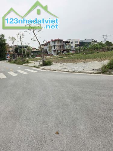 Bán gấp đất đấu giá 80M² và TĐC thư lâm liên hà ĐÔNG ANH chỉ 5 tỷ - 1