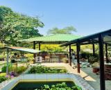 Gấp bán nhà gần MT Lò Lu, Thủ Đức, dt 1930m2, giá 23 tỷ.