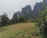 🌿 BÁN ĐẤT VIEW ĐẸP – TIỀM NĂNG CAO 🌿 📍 Vị trí: Lương Sơn, Hòa Bình (nay thuộc Phú Thọ