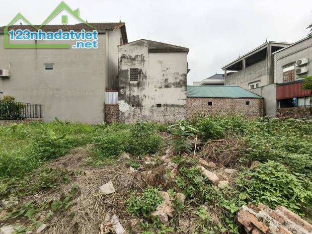 Chủ cần bán đất Nam Hồng 59m2, mt4m, 4.25 tỷ, Đông Anh. Ô tô. - 2
