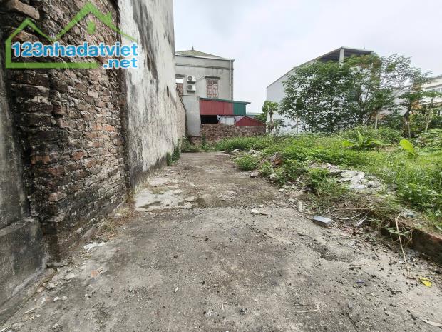 Chủ cần bán đất Nam Hồng 59m2, mt4m, 4.25 tỷ, Đông Anh. Ô tô. - 3