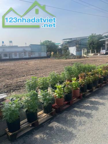 4 LÔ LIỀN KỀ ĐÔNG THẠNH – HXH THẠNH XUÂN 52 – SỔ RIÊNG TỪNG LÔ - 4