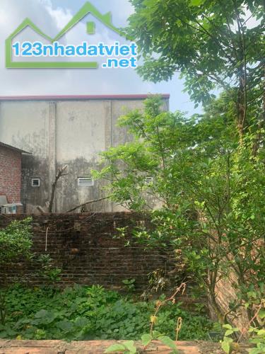 Bán Đất Phú Thượng Tây Hồ Sát Ciputra. 50m Mt 5m. Ô Tô Vào Đất. Giá 11.58 Tỷ. - 2
