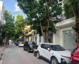 Biệt thự mini Vạn Bảo, Ba Đình, ô tô tránh, gỗ Hương, nở hậu, không gian xanh, 80m, 24 tỷ