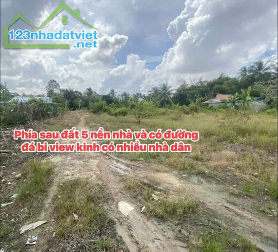 CẦN BÁN ĐẤT VƯỜN GIÁ TỐT – TÍCH THIỆN, TRÀ ÔN, VĨNH LONG - 1
