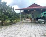 Bán mảnh đất 2541m2 có nhà cấp 4 ngay UBND Tân Hiệp .Giá 650triệu