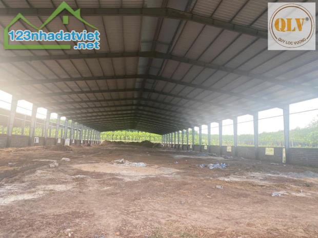 BÁN NHÀ XƯỞNG – AN THÁI , PHÚ GIÁO, BÌNH DƯƠNG – 31.952m² - 2