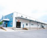 BR. Cho Thuê Xưởng Sản Xuất 2400m2  Kcn Đất Đỏ Cảng Thị Vải Sát Bên Có Pccc Tự Động Giá
