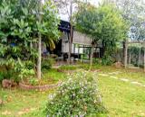 Bán resort, homestay Minh Quang Ba Vì, 3949m, oto, view đồng, dòng tiền, 17.5tỷ