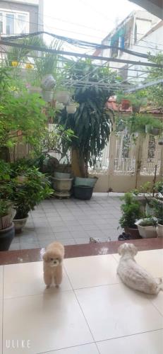 BÁN VILLA THUỘC LINH CHIỂU. THỦ ĐỨC. DT:160M2. GIÁ 19 TỶ - 2