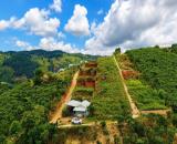 CẦN BÁN GẤP LÔ ĐẤT VIEW ĐẸP NGAY ĐẦU TÀ NUNG – P. CAM LY, ĐÀ LẠT