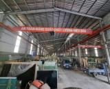 Cho thuê nhà xưởng tại Bình Giang Hải Dương