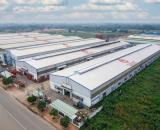 Nhà xưởng cho thuê 4118m2 KCN Tân Phú Trung Củ Chi