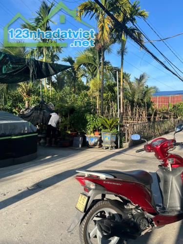 Với 1,75 tỷ khách đã sở hữu lô đất 60m2 Nguyễn Trung Thành, Hùng Vương, Hồng Bàng