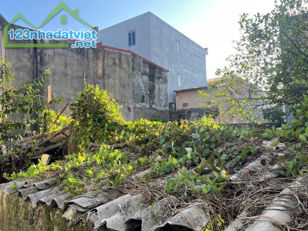 Với 1,75 tỷ khách đã sở hữu lô đất 60m2 Nguyễn Trung Thành, Hùng Vương, Hồng Bàng - 1