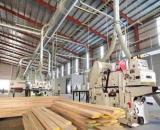 CHUYỂN NHƯỢNG NHÀ XƯỞNG CỤM CN HÓC MÔN – 4.000M² – PHÁP LÝ CHUẨN – GIÁ 33 TỶ