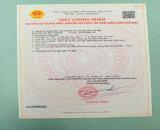 Chủ Kẹt Tiền Bán Nhanh Đất Long Mỹ - Phước Hải- Đất Giá Rẻ chỉ 1tỷ250