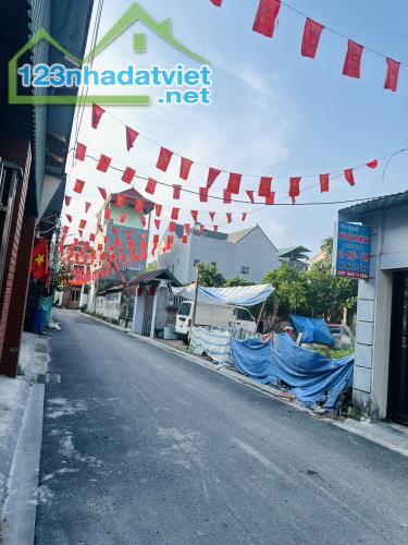 Bán đất trục chính kinh doanh chất Đường Yên Thư Lâm lõi KCN sạch Đông Anh - 1