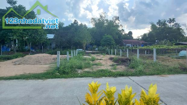 Đất Tam Dân (xã Phú Ninh) kẹt nên để lại giá rẻ - 1