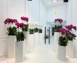 Bán nhà Gò Vấp, MTKD Nguyễn Thái Sơn, gần sân bay Tân Sơn Nhất, Phạm văn Đồng, 125M2,23tỷ