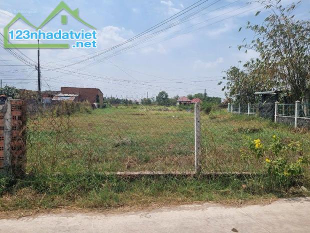 BÁN GẤP 3.500M² ĐẤT QUY HOẠCH 100% ĐẤT Ở GẦN ĐT823D – CHỈ 8,5 TỶ, TIỀM NĂNG TĂNG GIÁ CAO - 3