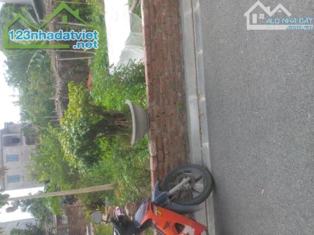 🔥 ĐÀO THỤC - THƯ LÂM - HÀ NỘI 🔥 🌿Diện tích gần 84m, full thổ cư. 📐 Đất vuông đẹp