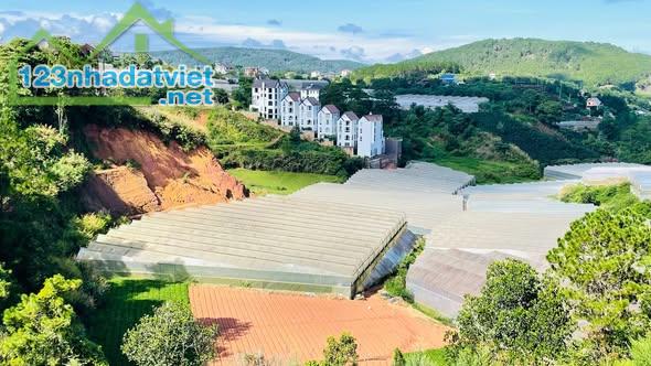 Quỹ đất Măng Line 1500m2, giá 6,6 tỷ! - 1