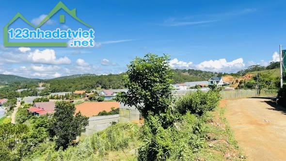 Quỹ đất Măng Line 1500m2, giá 6,6 tỷ!