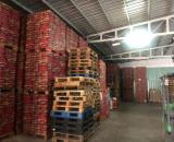 Cho thuê kho Gò Vấp – 800m2 60tr – có văn phòng – An ninh 24/7