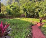 Cần bán gấp có 1.350m2 đất Homestay hồ Thác Bà - Yên Bái 1tỷ150