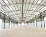 BÁN NHÀ XƯỞNG 5000M2 CHIẾN LƯỢC TẠI BẾN LỨC – VỊ TRÍ LOGISTICS ĐẮC ĐỊA, PHÁP LÝ SẠCH