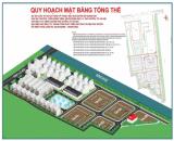 Đất đấu giá Phượng Dực – Cơ hội cho nhà đầu tư tìm kiếm sự an toàn