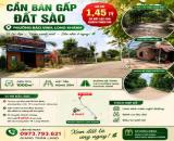 CẦN BÁN GẤP ĐẤT SÀO - PHƯỜNG BẢO VINH, LONG KHÁNH