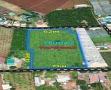 ĐẤT ĐẸP –GIÁ ĐẦU TƯ – CHÍNH CHỦ CẦN BÁN ĐẤT NỀN Thị trấn Liên Nghĩa, huyện Đức Trọng, Lâm