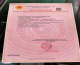 Bán Đất Mặt Tiền Đường Nhựa trần Văn thượng -Trung Tâm Thị Trấn Đất Đỏ chỉ từ 1tỷ1