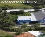Bán hoặc cho thuê khu nhà sân vườn đa năng tại Ninh Quang, Ninh Hoà, DT 1.632m2