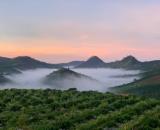 Bán nhà đất view săn mây tại trung tâm Đạ knang đam Rông Lâm Đồng