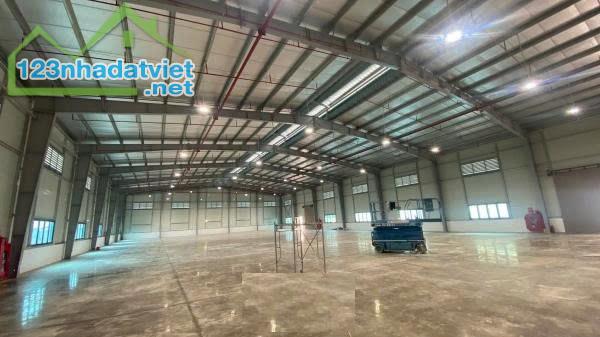 ⭐️Cho thuê nhà xưởng 2.700m2 ngã tư Quang Thanh (QL360 kéo dài) An Quang, An Lão, HP - 3